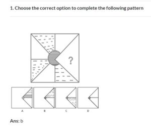 PMAA Non-Verbal Intellegence Test