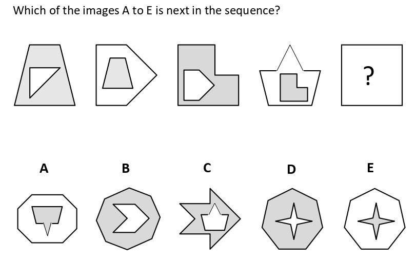 Non Verbal Intelligence Test 1