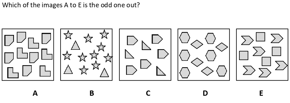 Non Verbal Intelligence Test 11