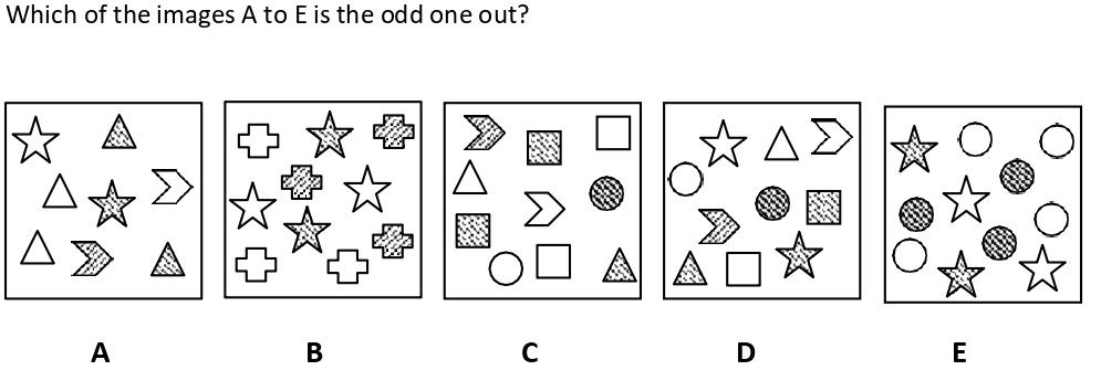 Non Verbal Intelligence Test 12