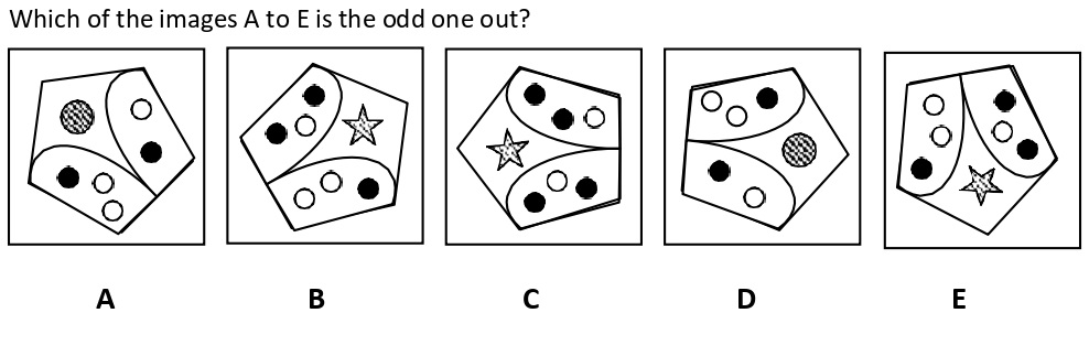 Non Verbal Intelligence Test 13