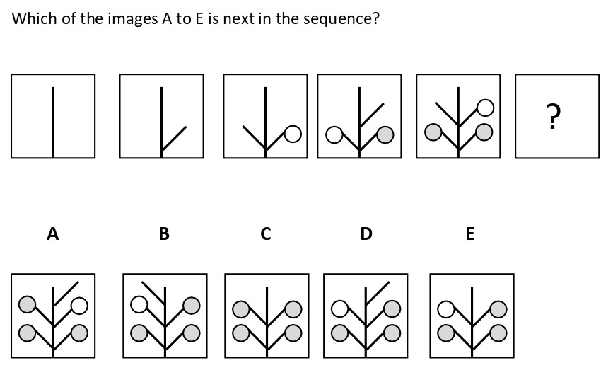 Non Verbal Intelligence Test 2