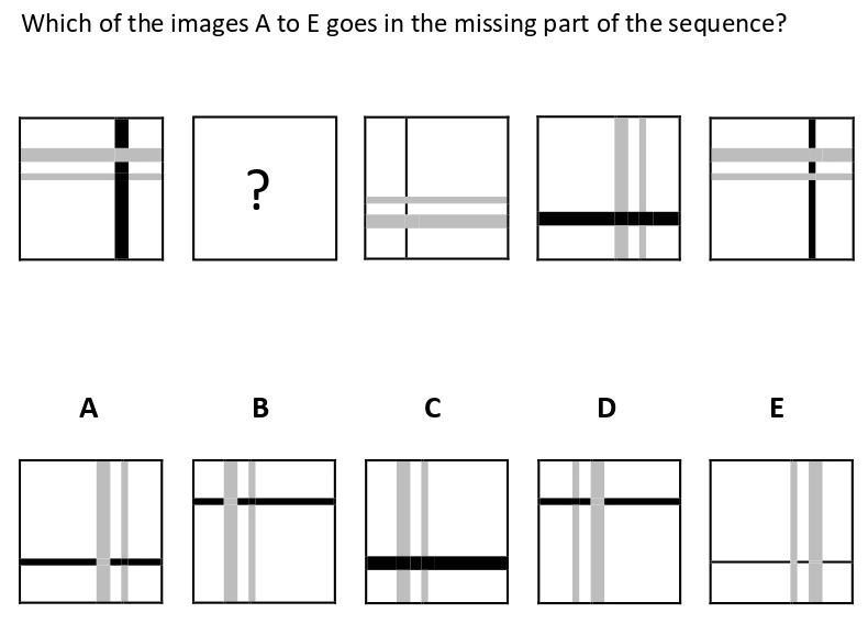 Non Verbal Intelligence Test 6