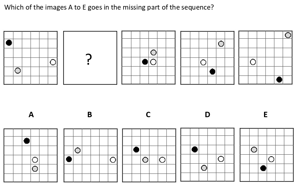 Non Verbal Intelligence Test 7