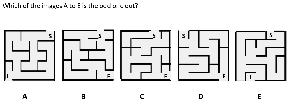 Non Verbal Intelligence Test 8